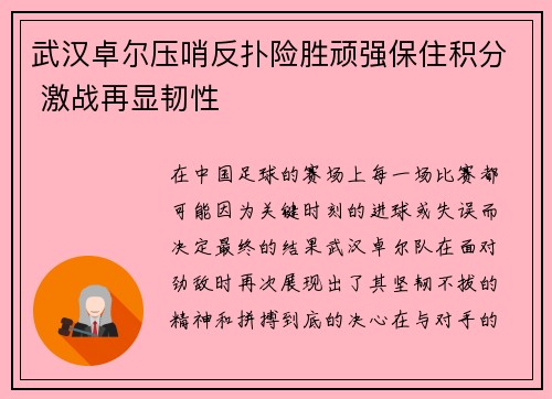 武汉卓尔压哨反扑险胜顽强保住积分 激战再显韧性
