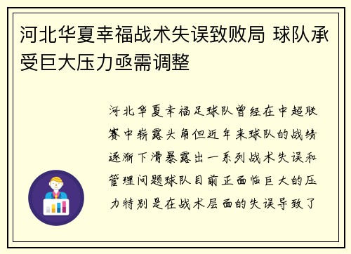 河北华夏幸福战术失误致败局 球队承受巨大压力亟需调整
