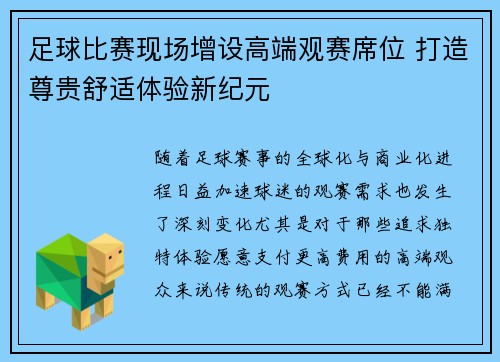 足球比赛现场增设高端观赛席位 打造尊贵舒适体验新纪元