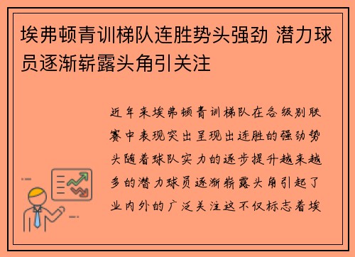 埃弗顿青训梯队连胜势头强劲 潜力球员逐渐崭露头角引关注